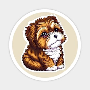 A Brown Havanese Puppy with Golden, Cream & White Highlights Magnet